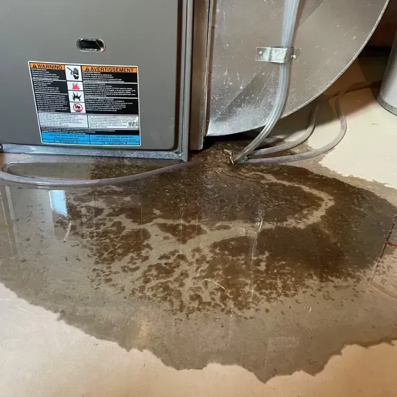 Appliance Leak Cleanup in Princeville, IL